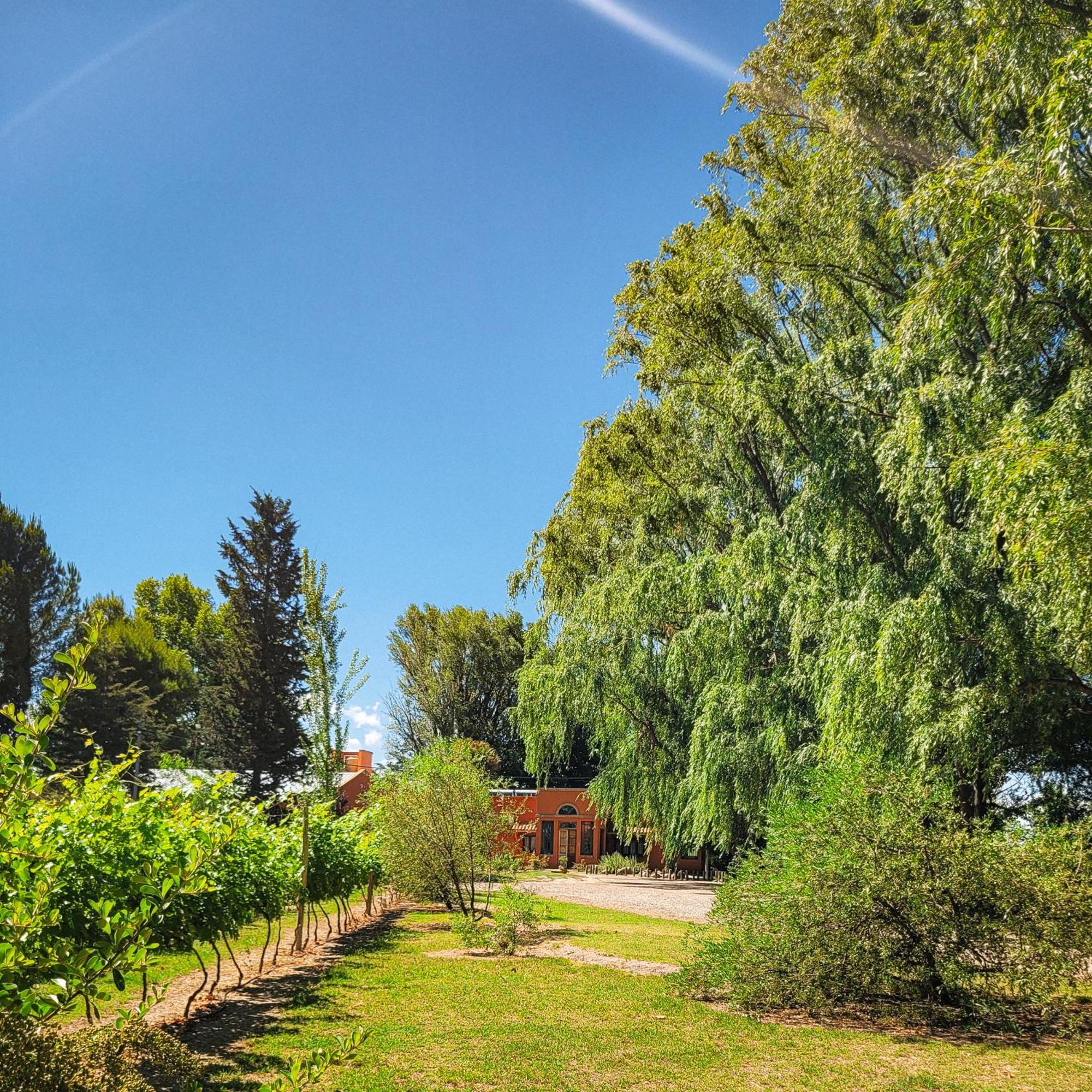 Finca La Saucina Casa De Campo Tunuyán Dış mekan fotoğraf